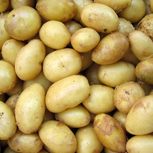 potatis